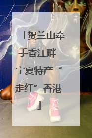 贺兰山牵手香江畔 宁夏特产“走红”香港