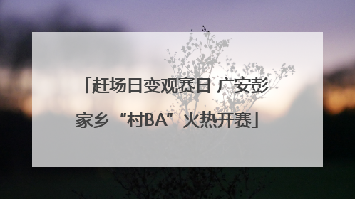 赶场日变观赛日 广安彭家乡“村BA”火热开赛