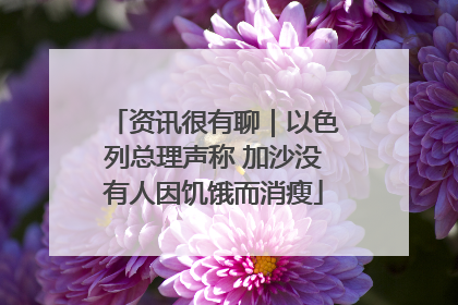 资讯很有聊｜以色列总理声称 加沙没有人因饥饿而消瘦