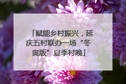 赋能乡村振兴，延庆五村联办一场“冬奥版”夏季村晚
