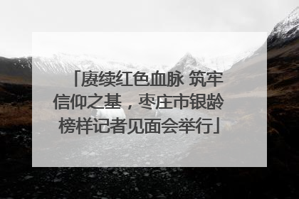 赓续红色血脉 筑牢信仰之基，枣庄市银龄榜样记者见面会举行