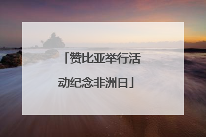 赞比亚举行活动纪念非洲日