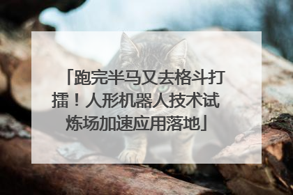 跑完半马又去格斗打擂！人形机器人技术试炼场加速应用落地