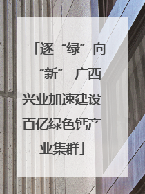 逐“绿”向“新” 广西兴业加速建设百亿绿色钙产业集群