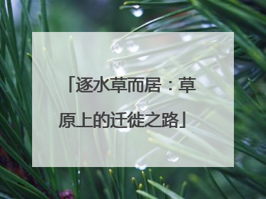 逐水草而居：草原上的迁徙之路
