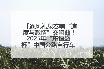 逐风礼泉奏响“速度与激情”交响曲！2025年“东恒盛杯”中国公路自行车联赛第五站（陕西·礼泉站）正式开赛