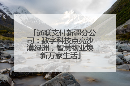 通联支付新疆分公司：数字科技点亮沙漠绿洲，智慧物业焕新万家生活