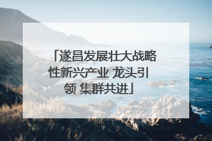 遂昌发展壮大战略性新兴产业 龙头引领 集群共进