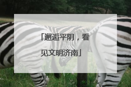 邂逅平阴，看见文明济南