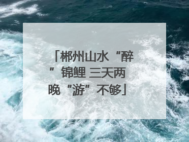 郴州山水“醉”锦鲤 三天两晚“游”不够