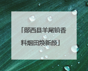 郧西县羊尾镇香料烟田焕新颜