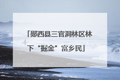 郧西县三官洞林区林下“掘金”富乡民