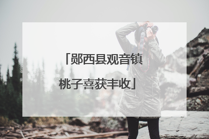 郧西县观音镇桃子喜获丰收
