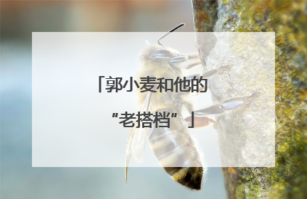 郭小麦和他的“老搭档”