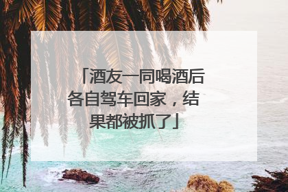 酒友一同喝酒后各自驾车回家，结果都被抓了