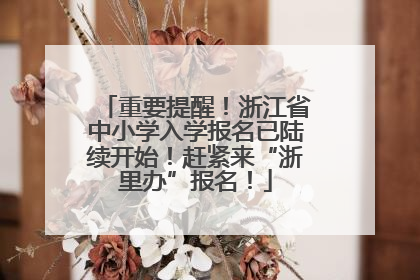 重要提醒！浙江省中小学入学报名已陆续开始！赶紧来“浙里办”报名！