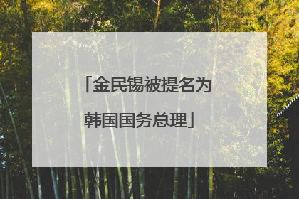 金民锡被提名为韩国国务总理
