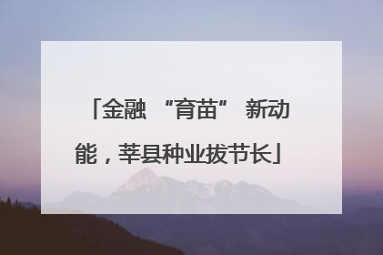 金融 “育苗” 新动能，莘县种业拔节长