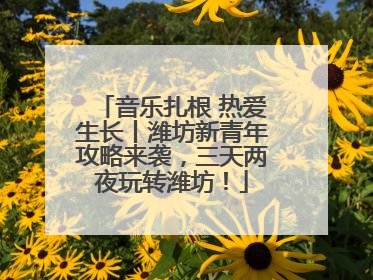 音乐扎根 热爱生长丨潍坊新青年攻略来袭，三天两夜玩转潍坊！