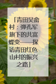 青田吴畲村：弹孔军旗下的共富蝶变——探访青田红色山村的振兴之路