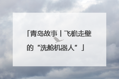 青岛故事丨飞檐走壁的“洗舱机器人”