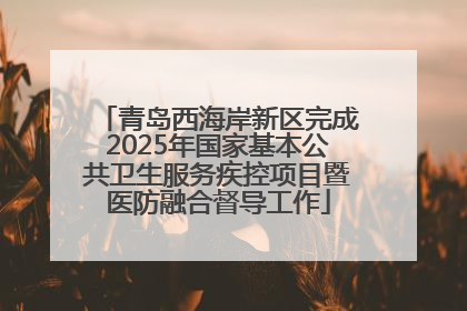 青岛西海岸新区完成2025年国家基本公共卫生服务疾控项目暨医防融合督导工作