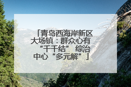 青岛西海岸新区大场镇：群众心有“千千结” 综治中心“多元解”