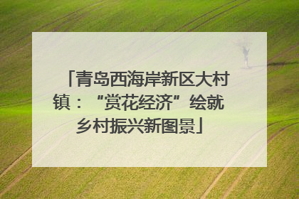 青岛西海岸新区大村镇：“赏花经济”绘就乡村振兴新图景