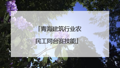 青海建筑行业农民工同台赛技能