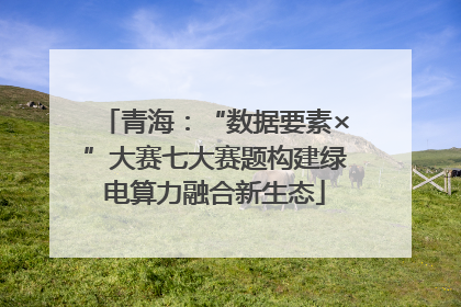 青海：“数据要素×”大赛七大赛题构建绿电算力融合新生态