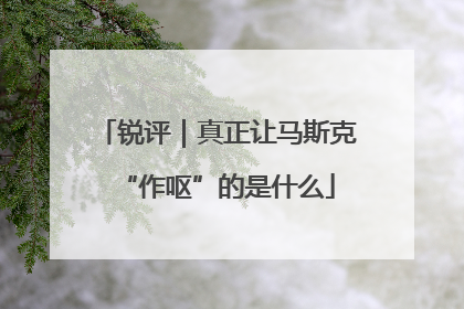 锐评｜真正让马斯克“作呕”的是什么