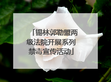 锡林郭勒盟两级法院开展系列禁毒宣传活动