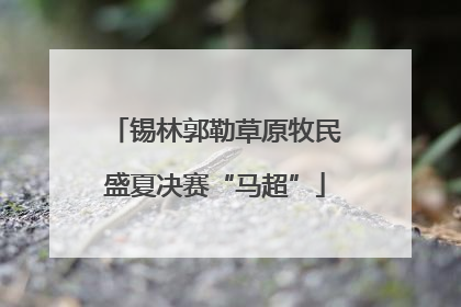 锡林郭勒草原牧民盛夏决赛“马超”