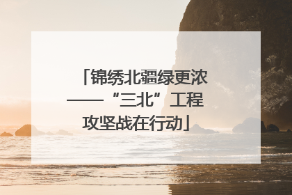 锦绣北疆绿更浓——“三北”工程攻坚战在行动