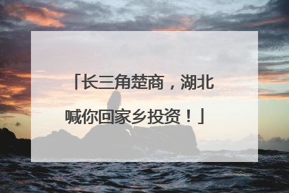 长三角楚商，湖北喊你回家乡投资！
