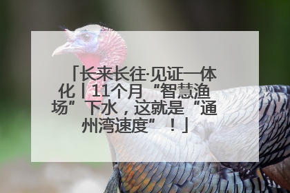 长来长往·见证一体化丨11个月“智慧渔场”下水，这就是“通州湾速度”！