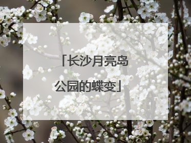 长沙月亮岛公园的蝶变