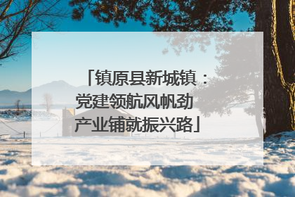镇原县新城镇：党建领航风帆劲 产业铺就振兴路