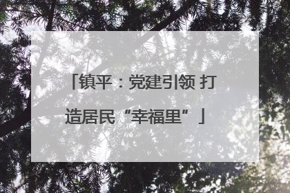 镇平：党建引领 打造居民“幸福里”