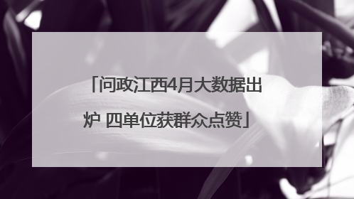问政江西4月大数据出炉 四单位获群众点赞