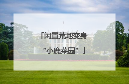 闲置荒地变身“小鹿菜园”