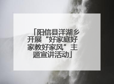 阳信县洋湖乡开展“好家庭好家教好家风”主题宣讲活动