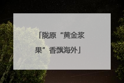 陇原“黄金浆果”香飘海外