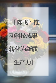 陈飞：推动科技成果转化为新质生产力
