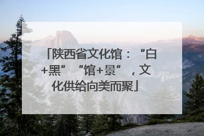 陕西省文化馆：“白+黑”“馆+景”，文化供给向美而聚