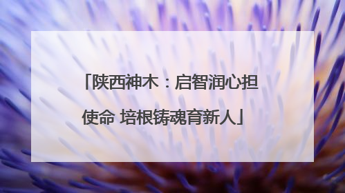 陕西神木：启智润心担使命 培根铸魂育新人