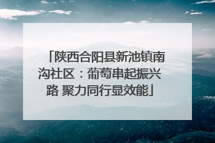 陕西合阳县新池镇南沟社区：葡萄串起振兴路 聚力同行显效能