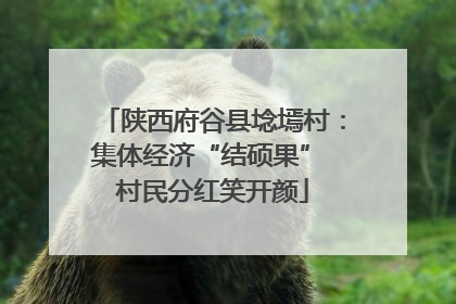陕西府谷县埝墕村：集体经济“结硕果” 村民分红笑开颜