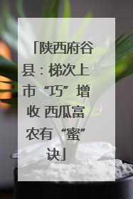 陕西府谷县：梯次上市“巧”增收 西瓜富农有“蜜”诀