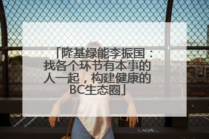 隆基绿能李振国：找各个环节有本事的人一起，构建健康的BC生态圈